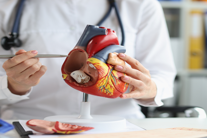 Bloqueo atrioventricular El bloqueo atrioventricular