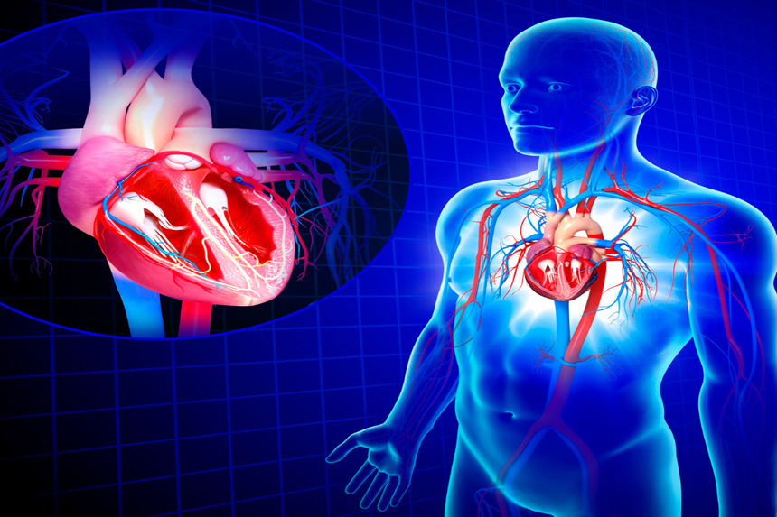 Sistema eléctrico del corazón Sistema de conducción eléctrico del corazón