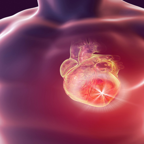 Innovaciones en la electrofisiología