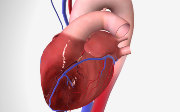 cardiopatía 2 Cardiopatías: qué son y cómo se diagnostican